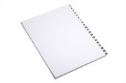 NUMBERED DIVIDERS