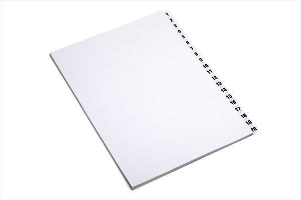NUMBERED DIVIDERS